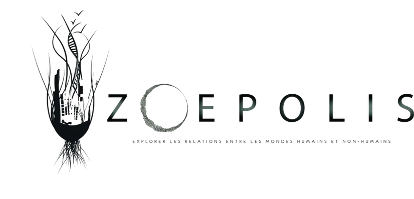 Zeopolis