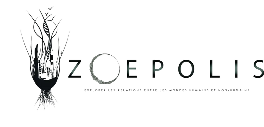 Zeopolis