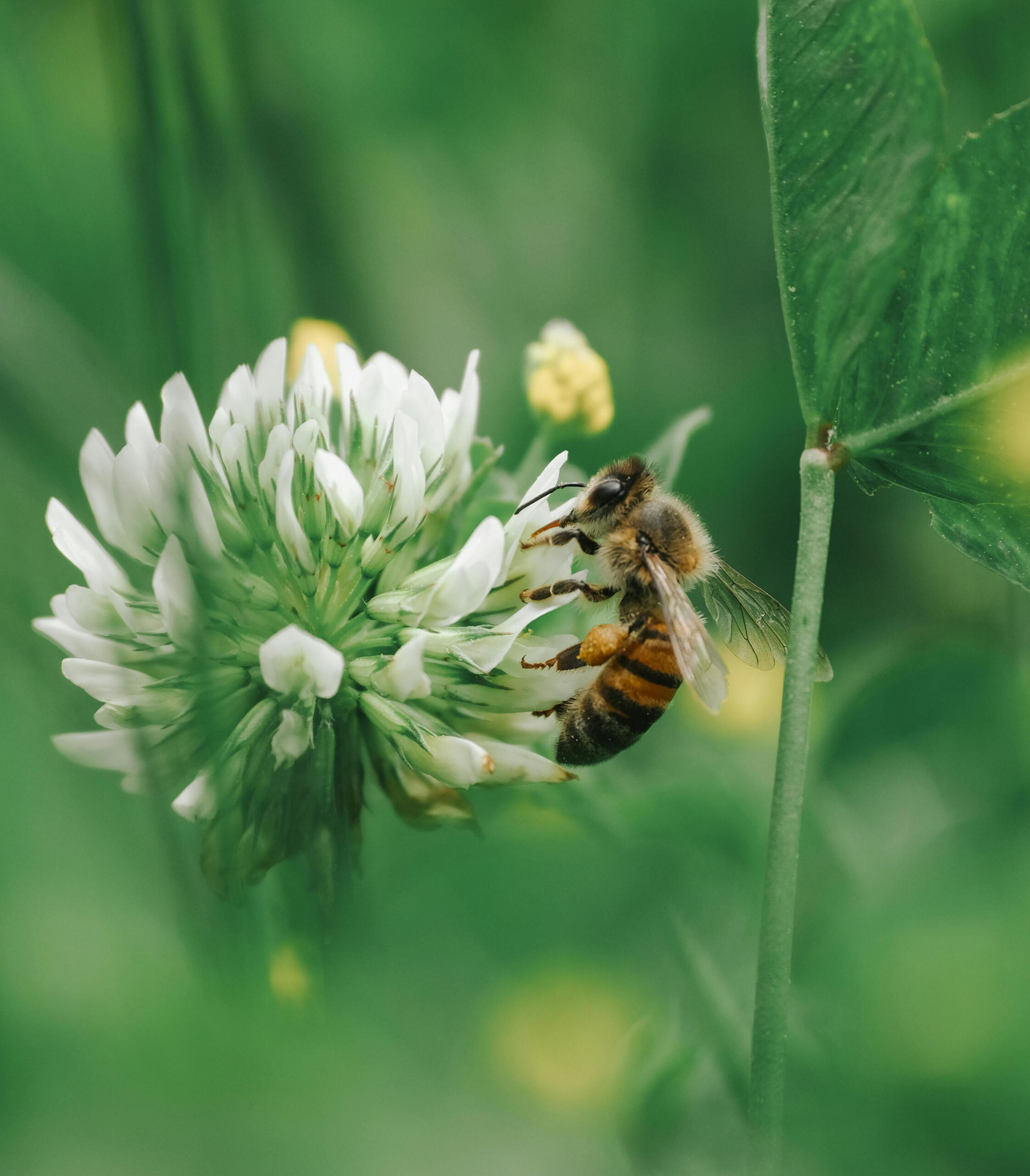 Experts climat biodiversité