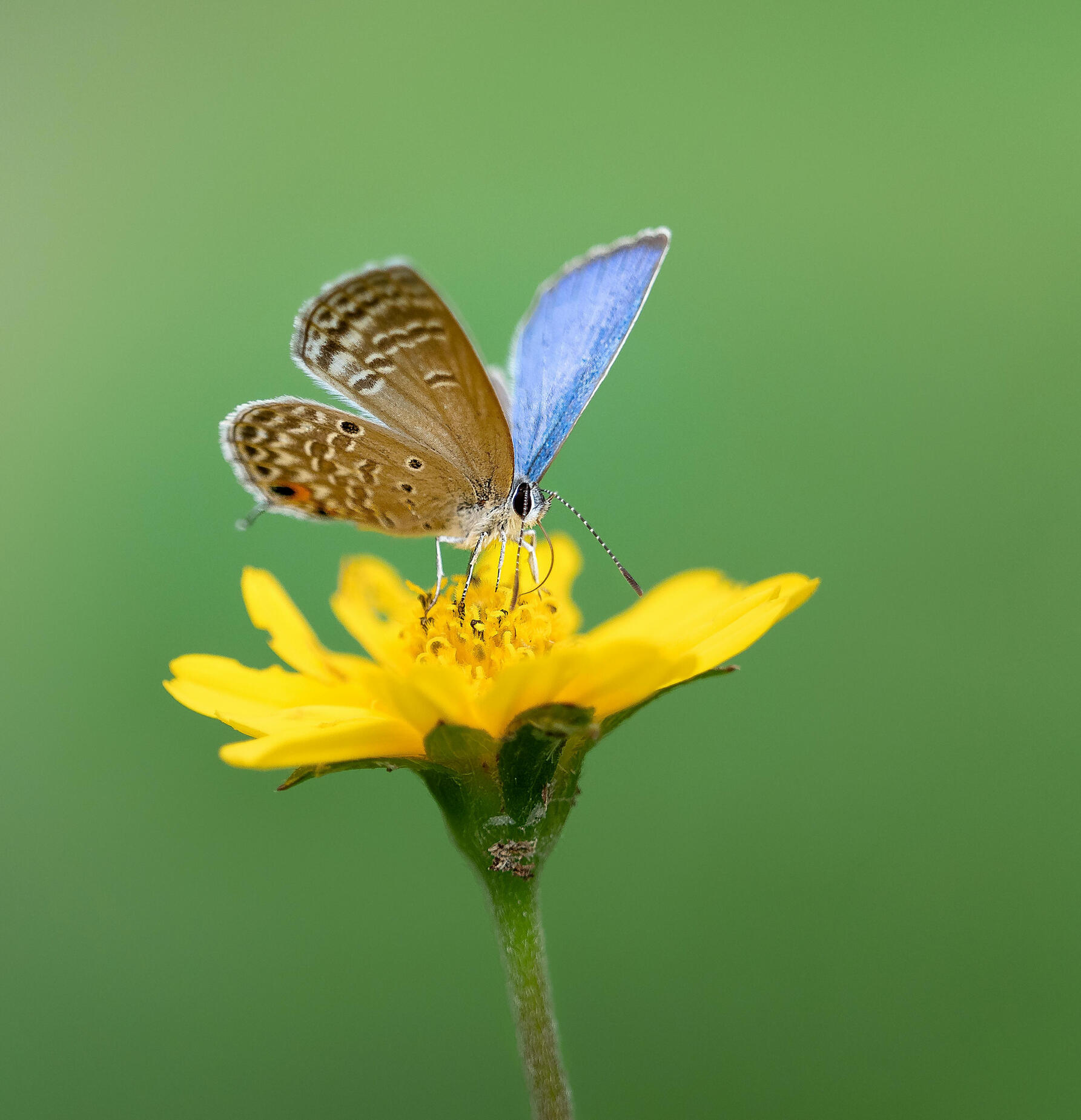 Entreprise gouvernance