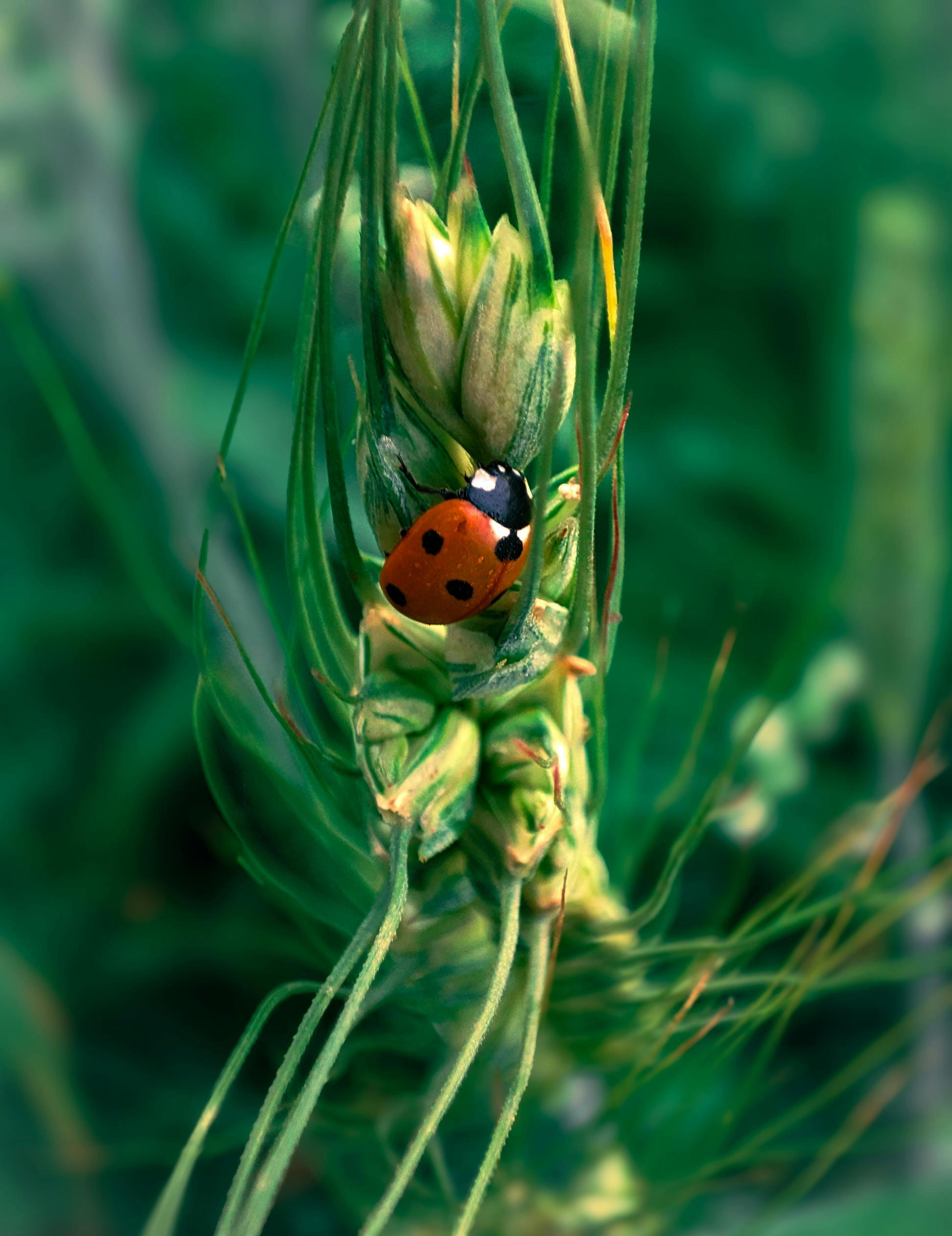 Fonds de dotation nature