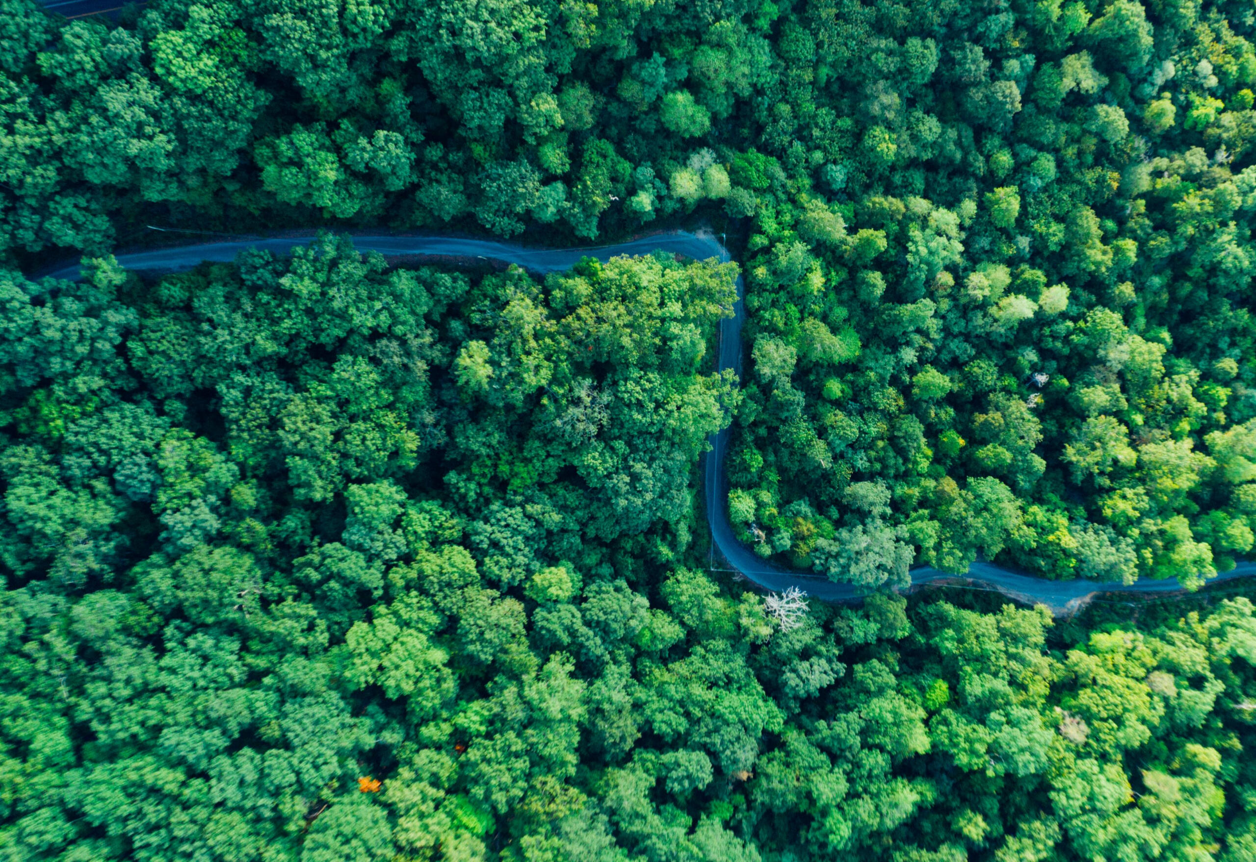 Fonds de dotation nature