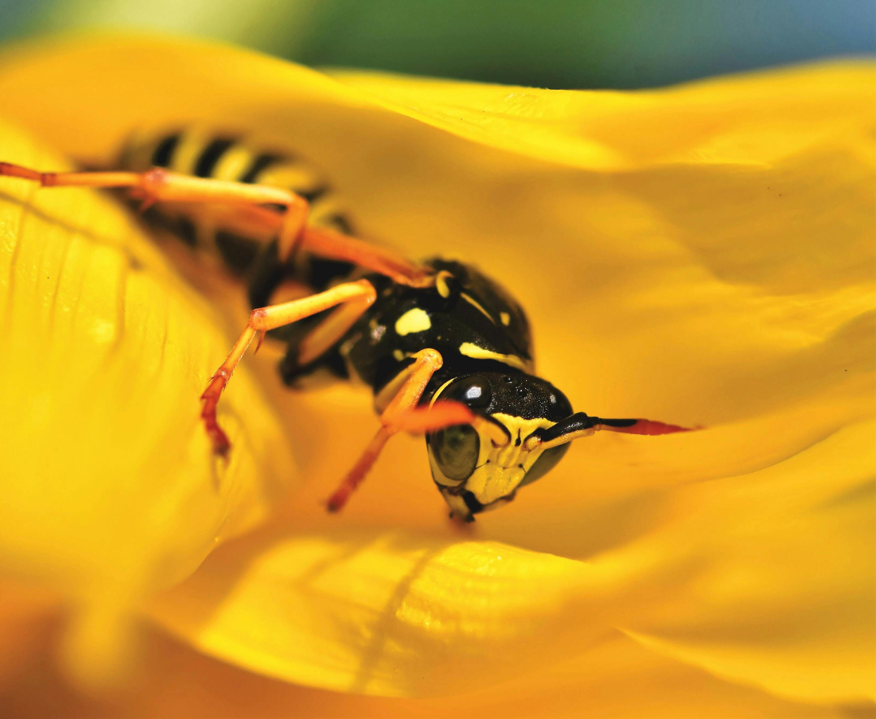 Fonds de dotation nature